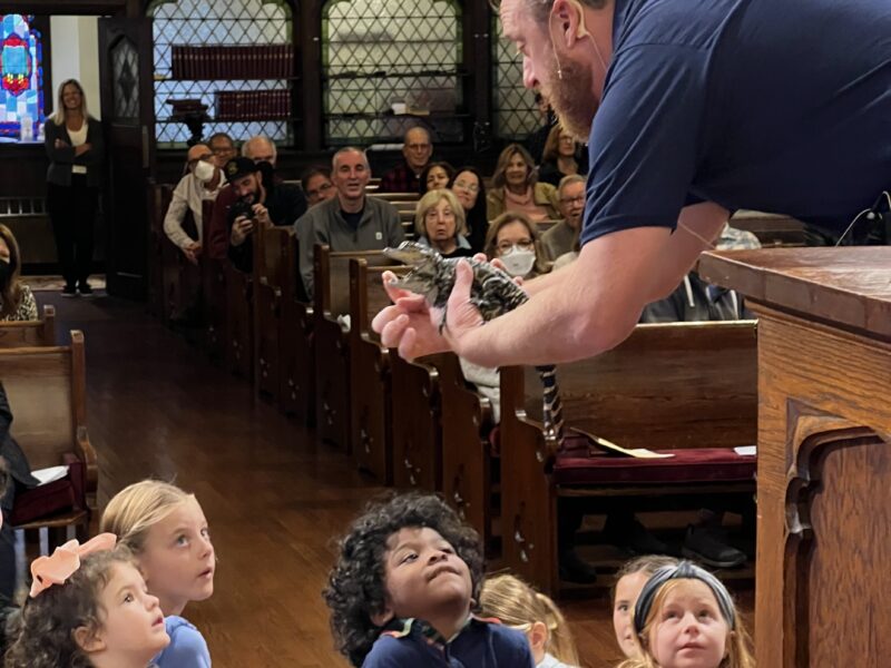 Blessing the Animals 2024