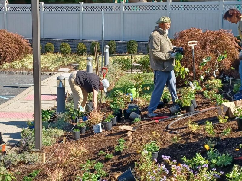 Native Plant Garden 3
