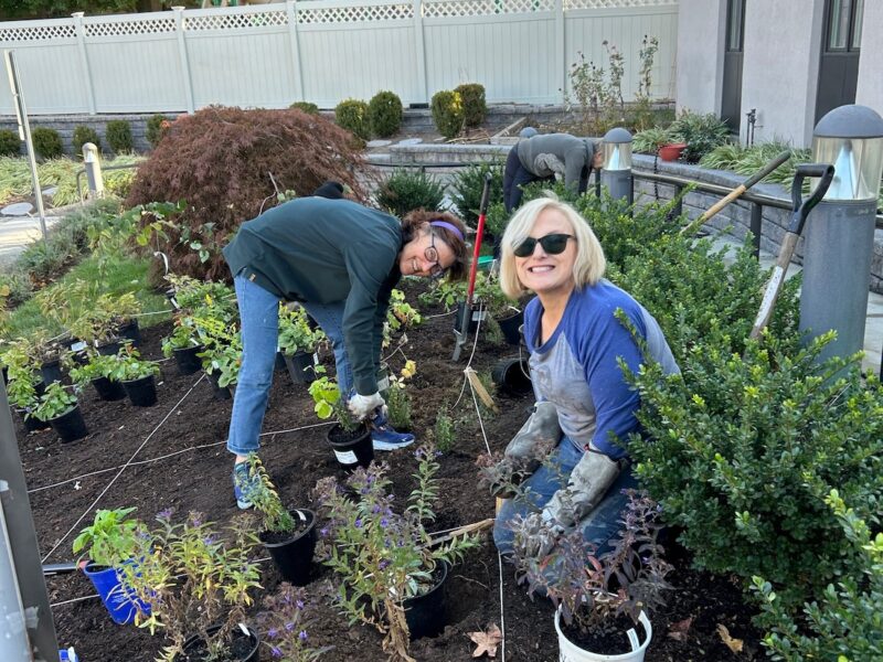 Native Plant Garden (2)