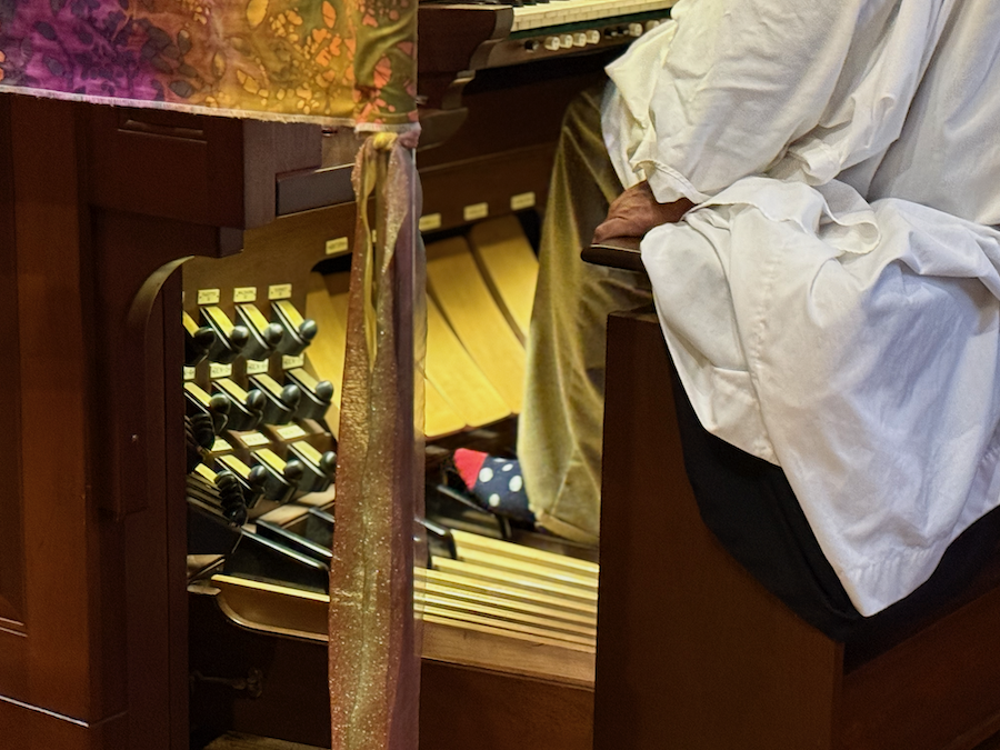 Playing the Organ